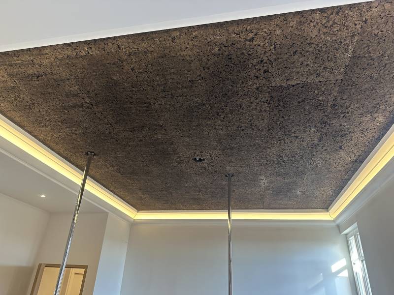 Plafon acoustique en matériaux naturels hautes performances phonique à Antibes