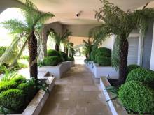 Nos prestations sur le secteur de Antibes Alpes-Maritimes